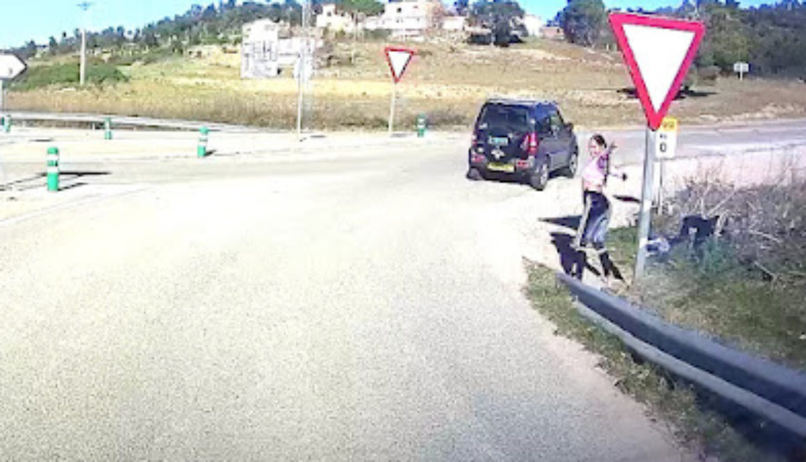 Lady-of-the-road-cropped